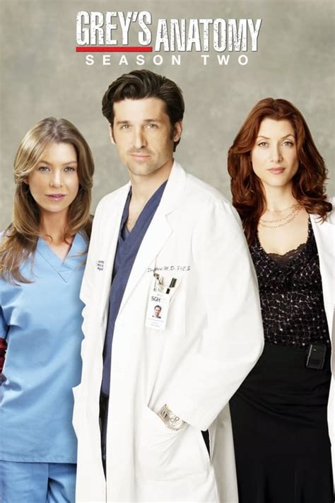 subtitulo greys anatomy|grey's anatomy season 2 subtitles.